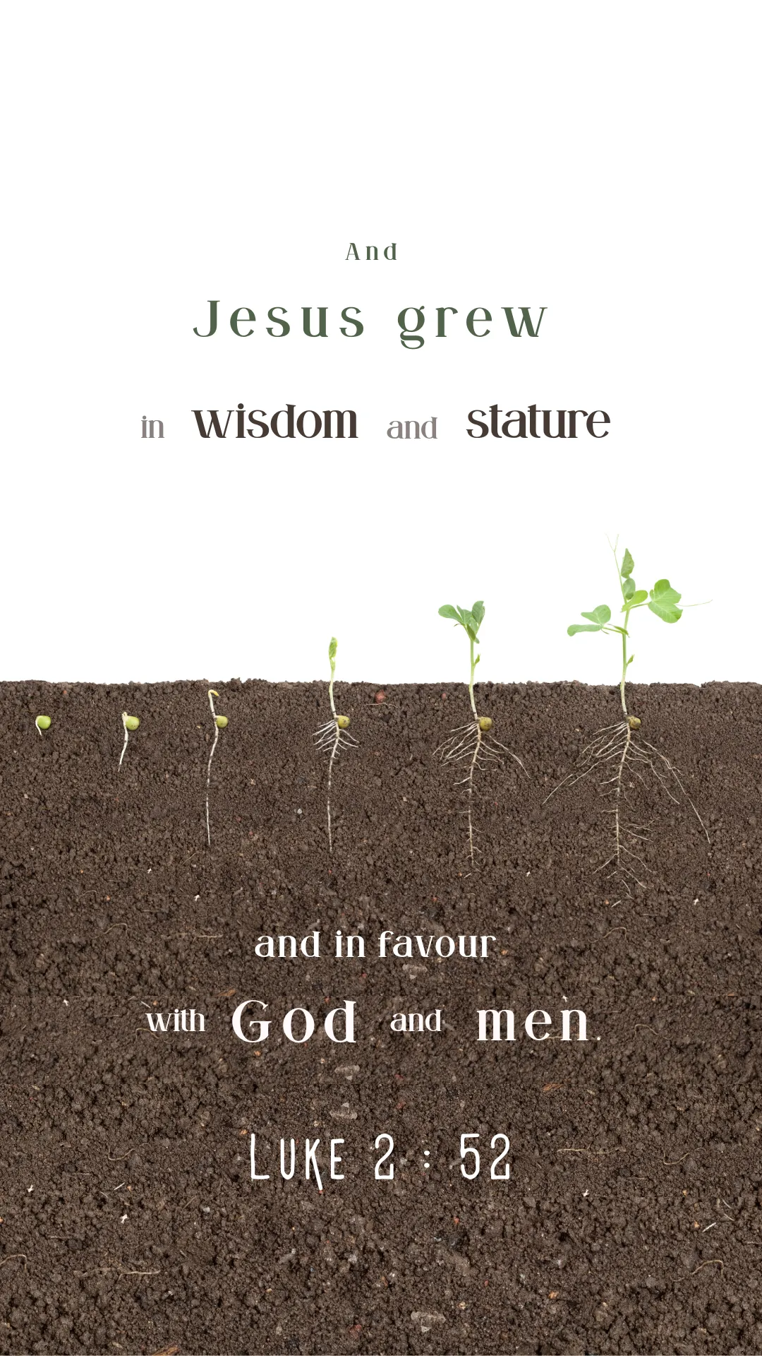 Bible verse — Luke 2:52