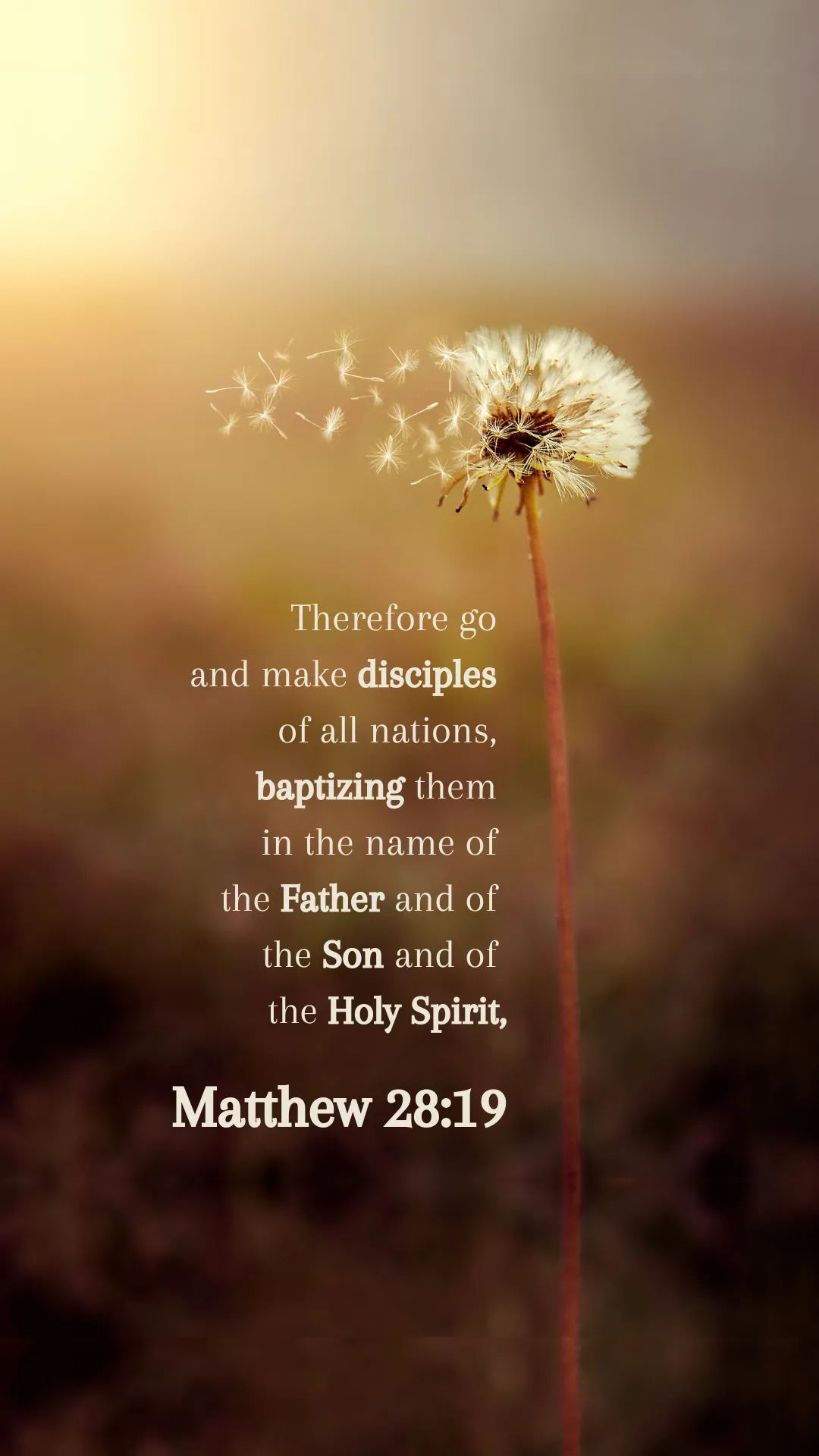 Bible verse — Matthew 28:19